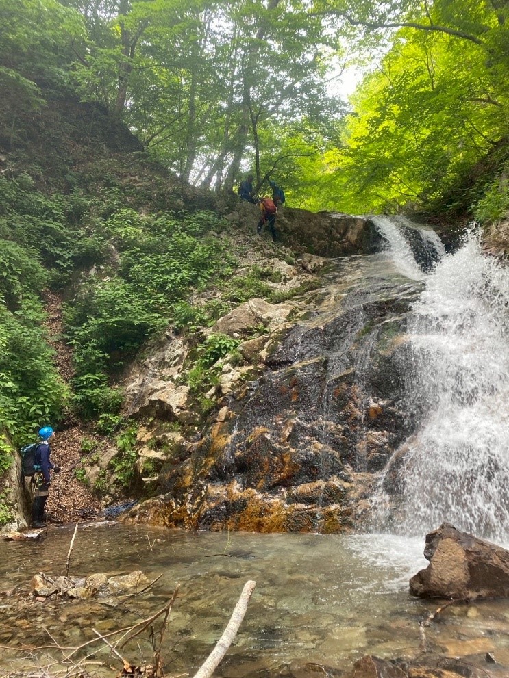 6月の白水沢