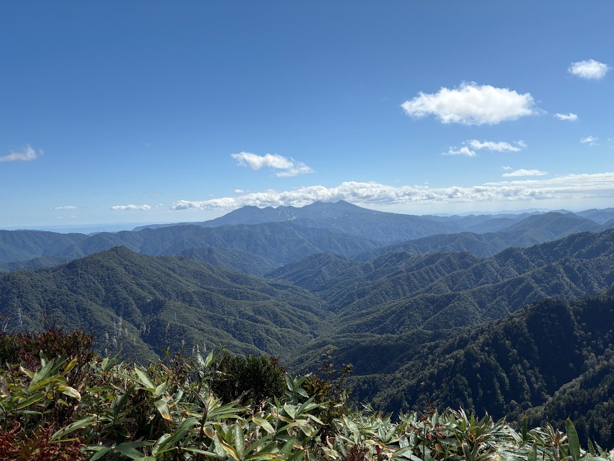 山頂からの眺め