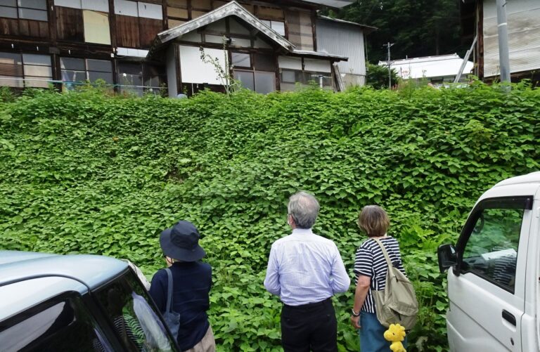 からむし