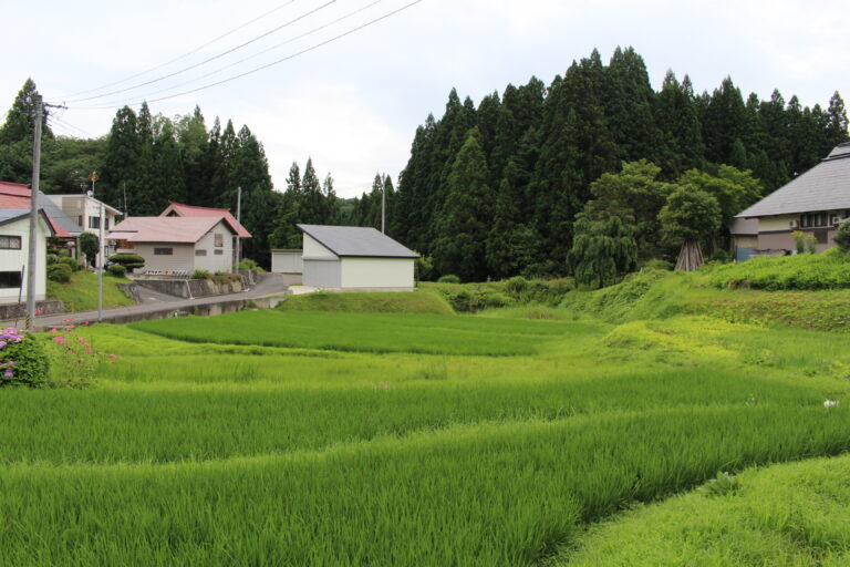大野