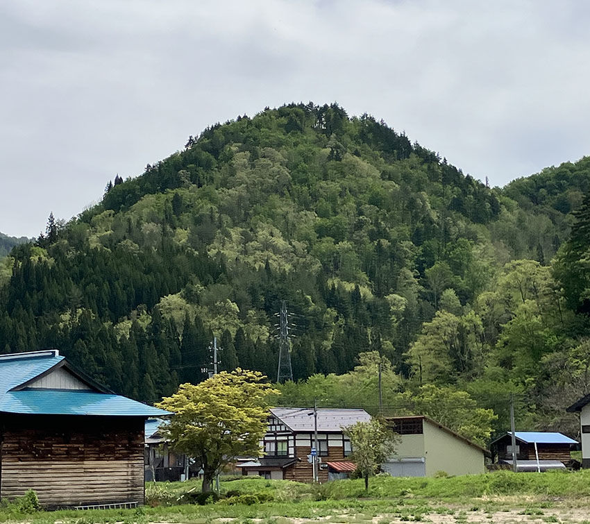 横田中丸城