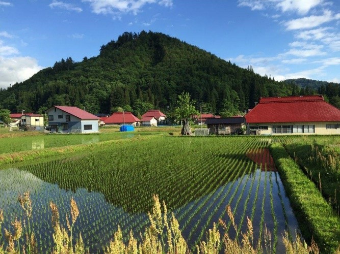 昭和村大芦集落